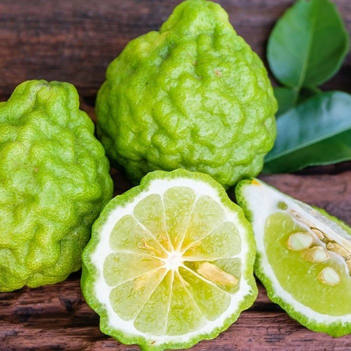 Tüplü Aşılı Kokulu Aromatik Bergamot Fidanı