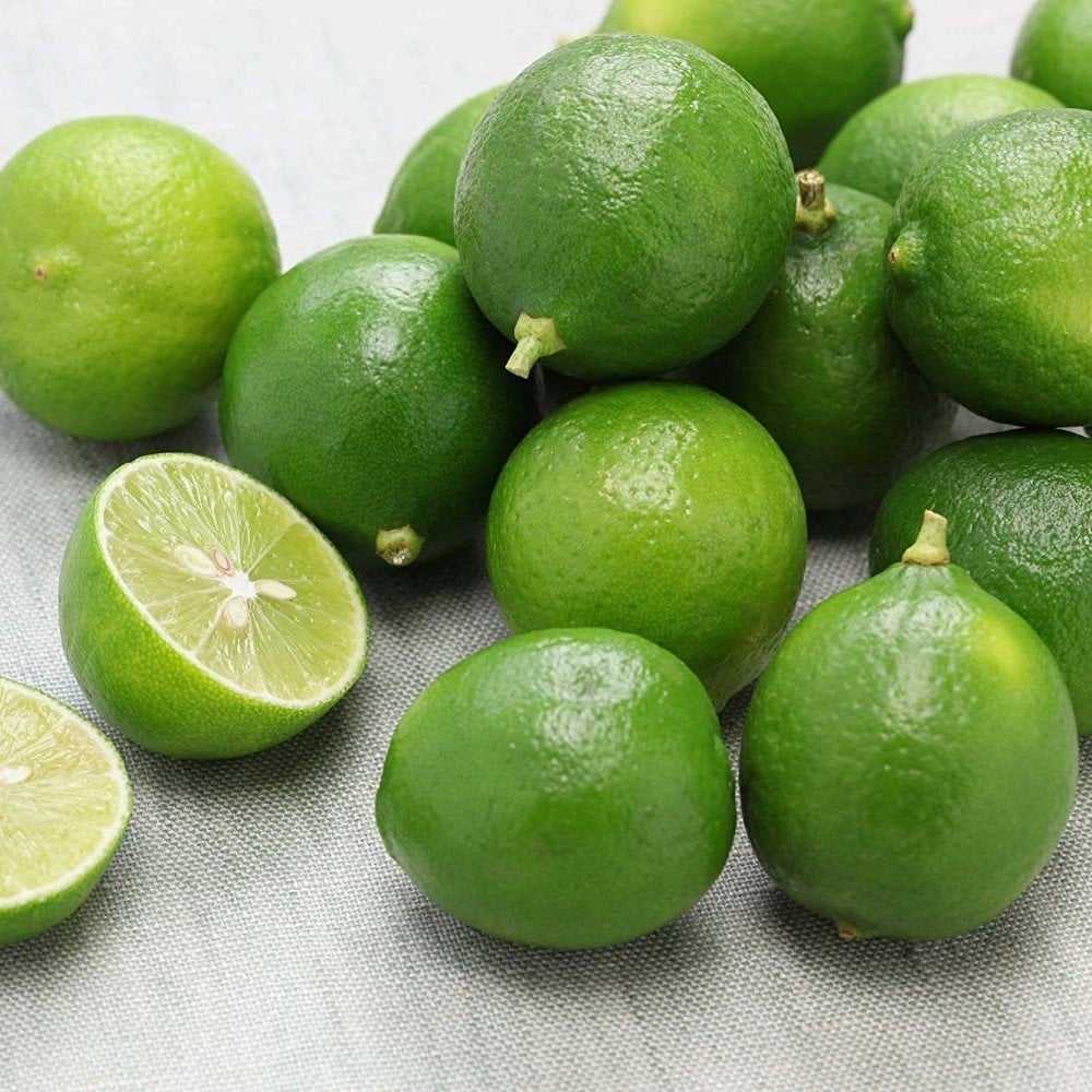 Tüplü Aşılı Nadir Bulunan Meksika Lime Limonu Fidanı