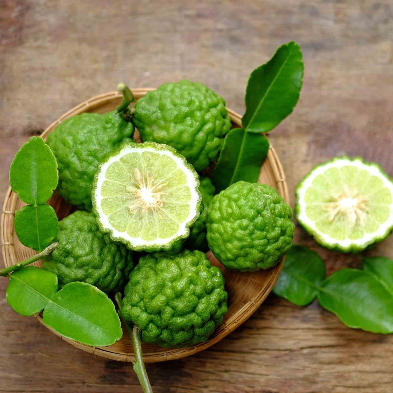 Tüplü Aşılı Özel Çeşit Nadir Bulunan Kaffir Lime Fidanı