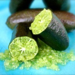 Tüplü Meyve Verme Yaşında Finger Lime Parmak Limon Fidanı