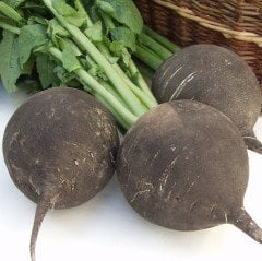 Doğal İri Siyah (Black Radish) Turp Tohumu (600 Tohum)