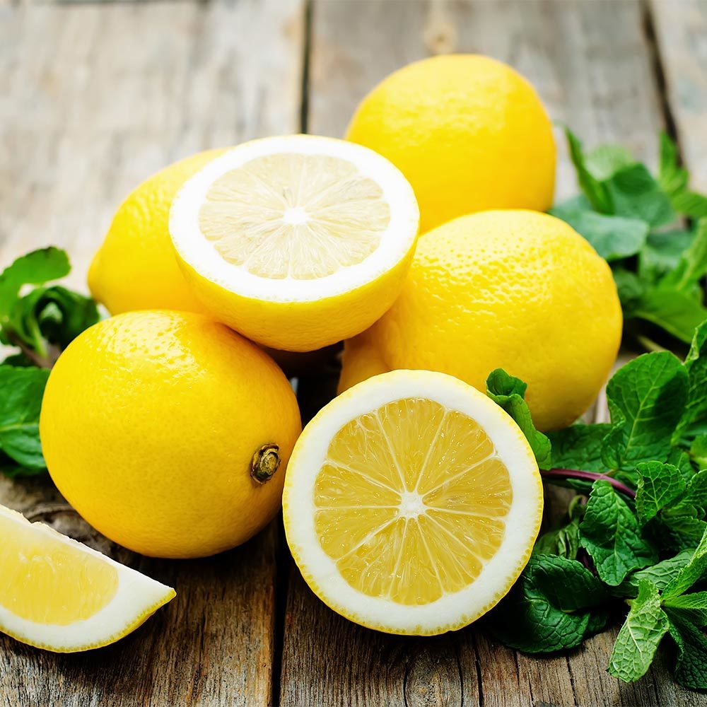 Tüplü Aşılı Verimli Geleneksel Aydın Limon Fidanı