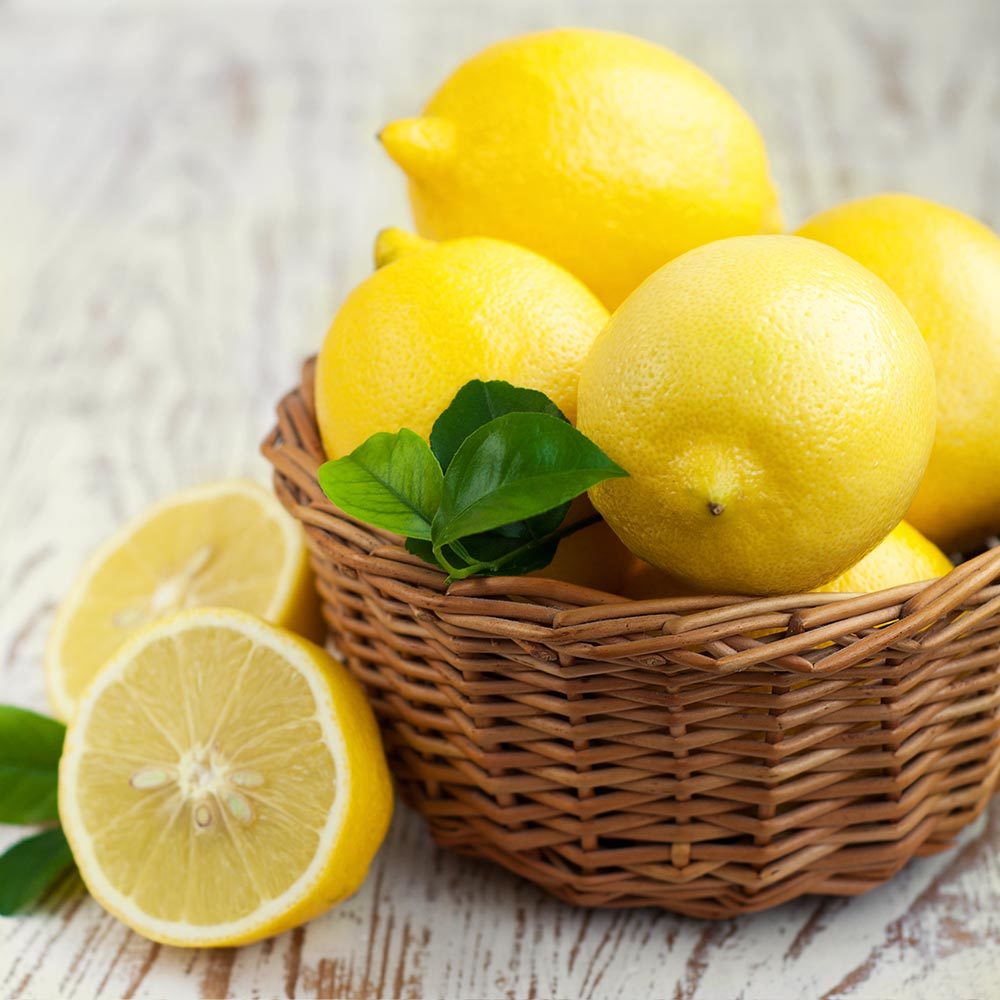 Tüplü Aşılı Bol Verimli İnce Kabuk Sulu Enter Limon Fidanı