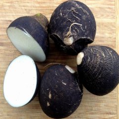 Doğal Black Prince Turp Tohumu (30 tohum)