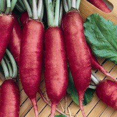 Doğal Pembe Parmak Turp Tohumu (50 tohum)