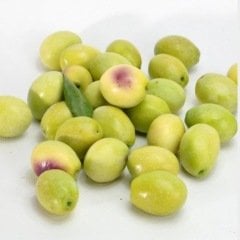 Tüplü En Çok Tercih Edilen Ayvalık Zeytin Fidanı