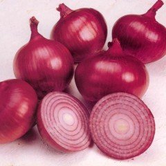 Doğal Red Grano Soğan Tohumu (50 tohum)