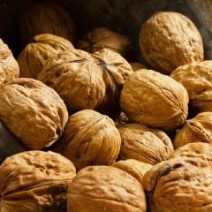 Tüplü Aşılı Bol Verimli Fernor Salkım Ceviz Fidanı