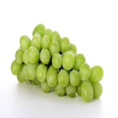 Tüplü Beyaz Şaraplık Sauvignon Blanc Üzüm Fidanı