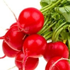 Red Diamond İri Kırmızı Turp Fidesi (5 adet)