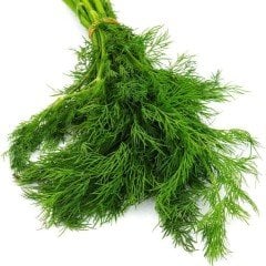 Kokulu Leziz Dere Otu Fidesi (5 Adet)