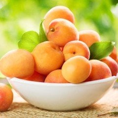 Tüplü Aşılı İri Meyveli Roksana (Roxana) Kayısı Fidanı