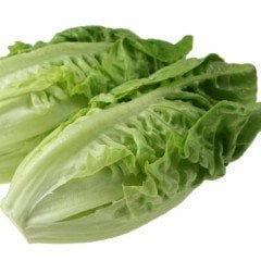 Duna Yedikule Marul Fidesi (5 Adet)