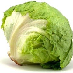 Iceberg Marul Fidesi (5 Adet)