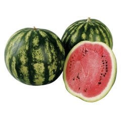 Bol Sulu Crimson Sweet Karpuz Fidesi (5 Adet)