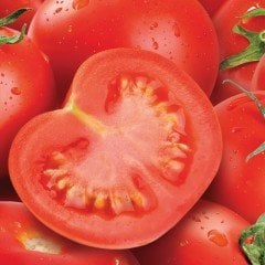 Salsa Etli Salçalık Oturak Domates Fidesi (5 Adet)