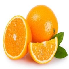 Tüplü Aşılı Yarı Bodur Lezzetli Washıngton Portakal Fidanı