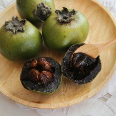 Tüplü Saksıda Çok Loblu Frenk İnciri Fidanı