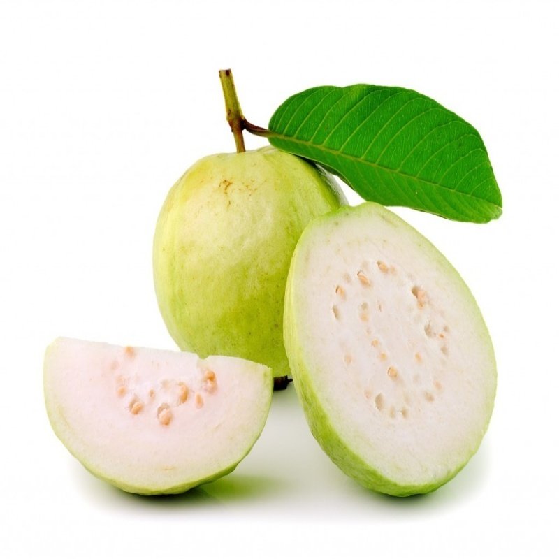 Tüplü Yellow Guava Fidanı