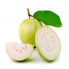 Tüplü Yellow Guava Fidanı