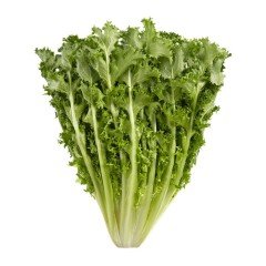 Emerald Catalogna Endive Tohumu (100 tohum)