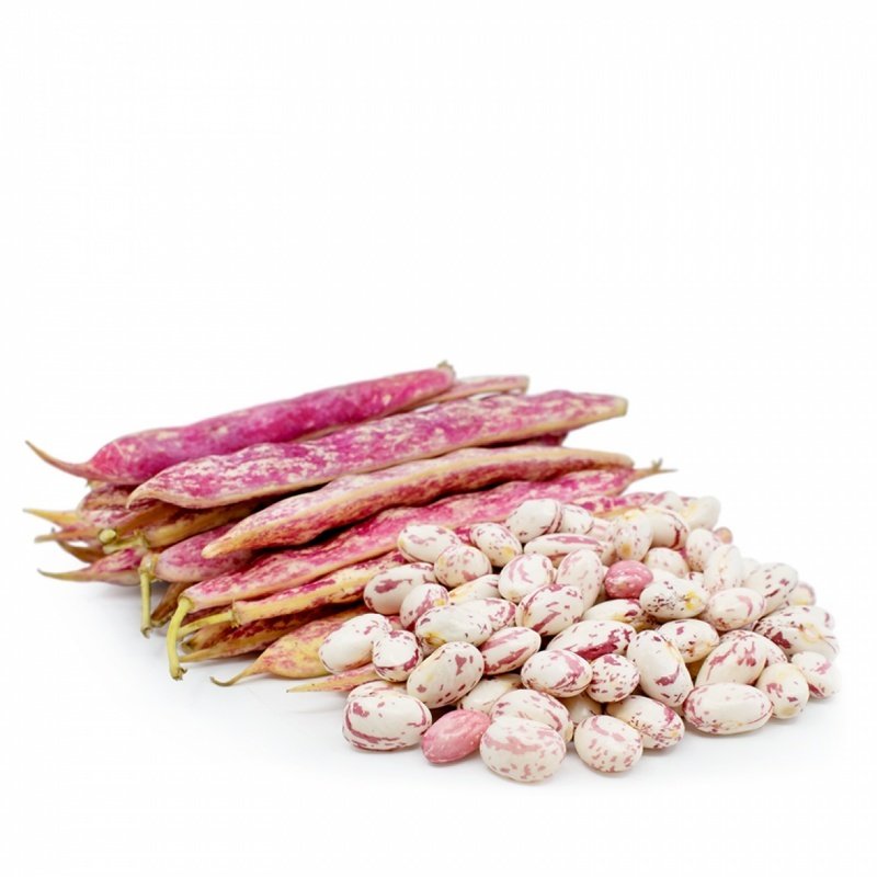 Oturak Hale Barbunya Tohumu (5 kg)
