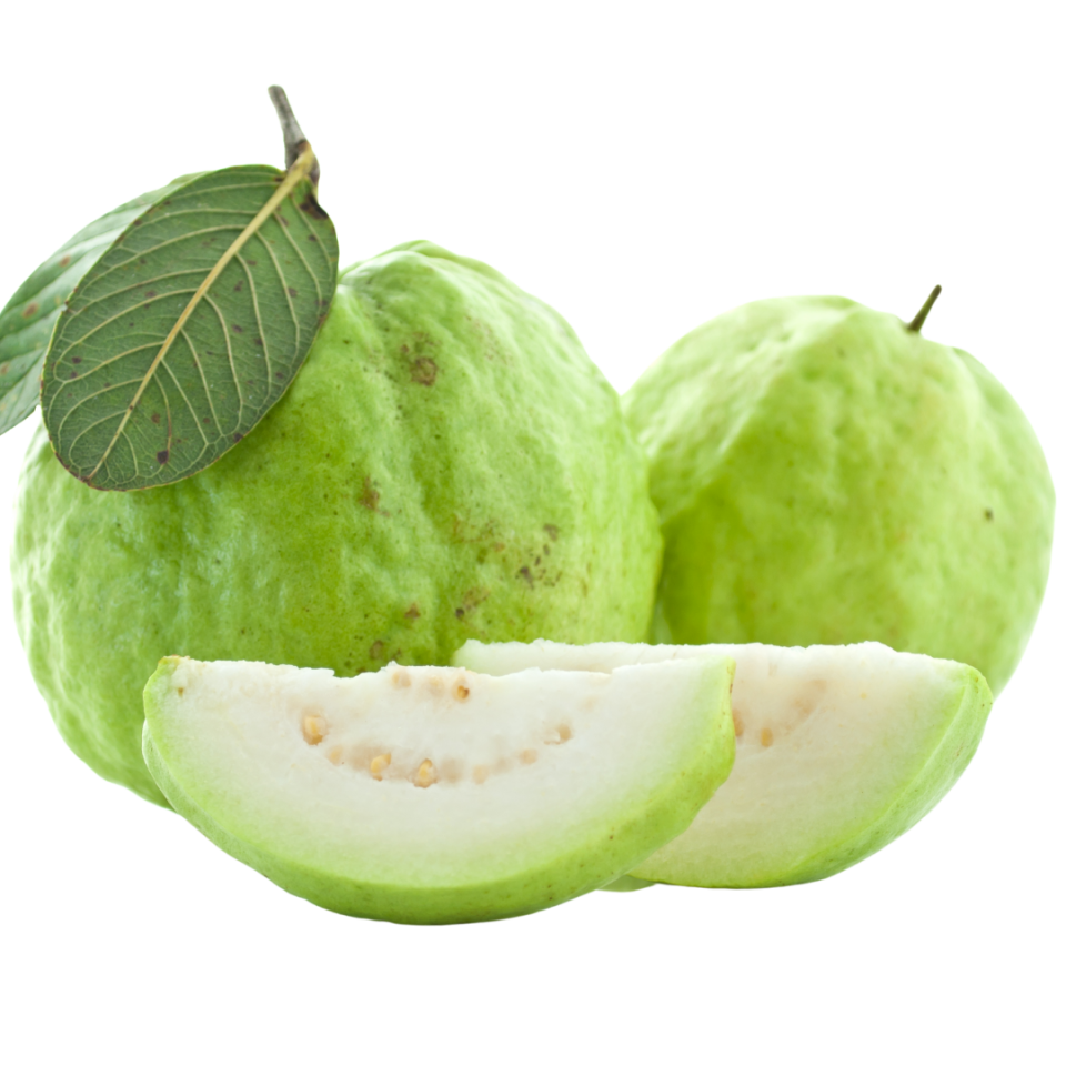 Elma Guava - 1 Adet