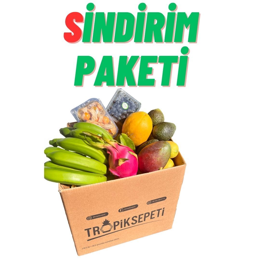 Sindirim Paketi