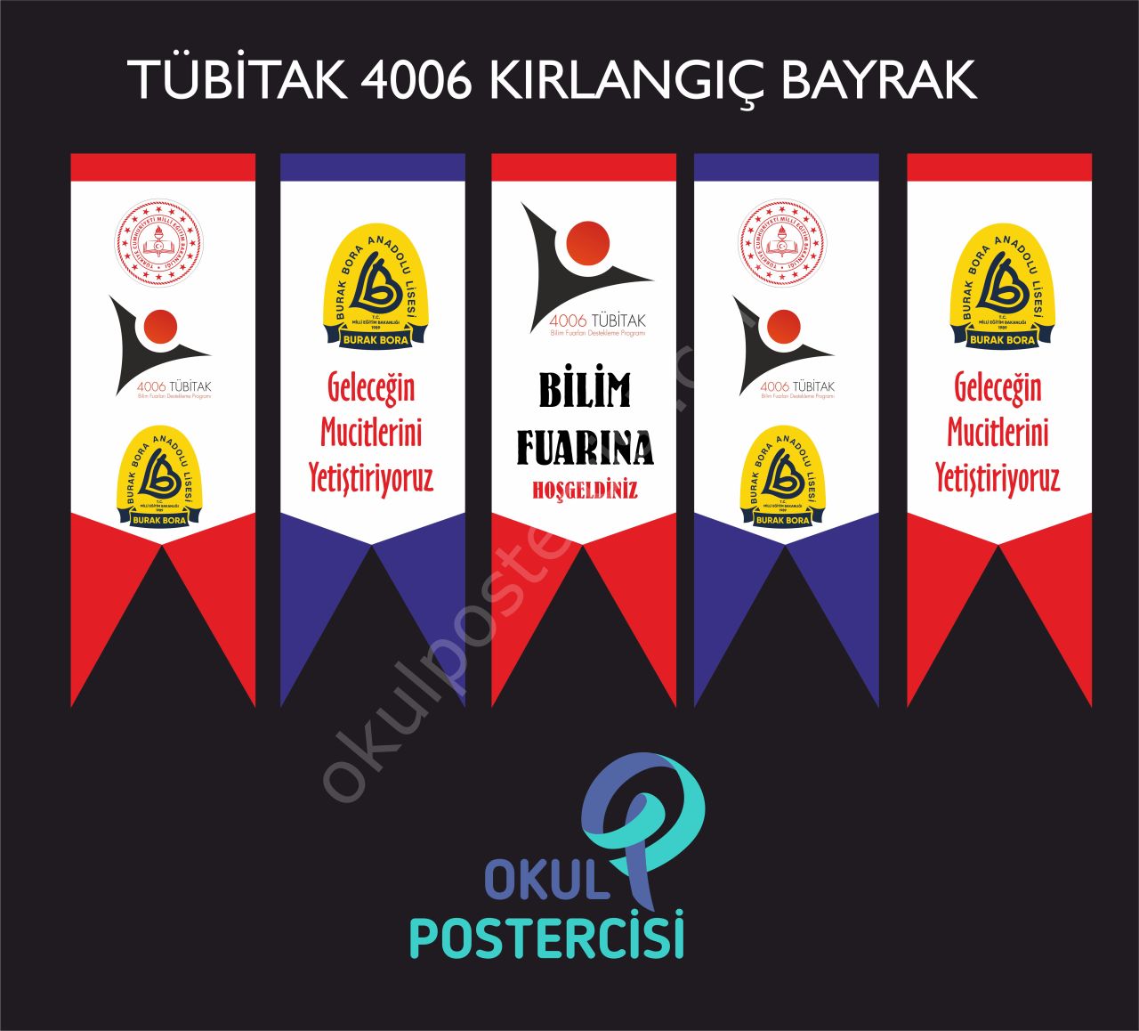 Tübitak 4006 Kırlangıç Bayrak 2