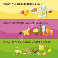 MEVSİMLERE GÖRE BESLENME POSTERİ