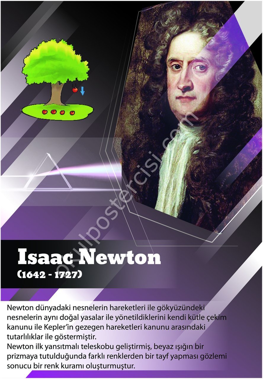 NEWTON POSTER