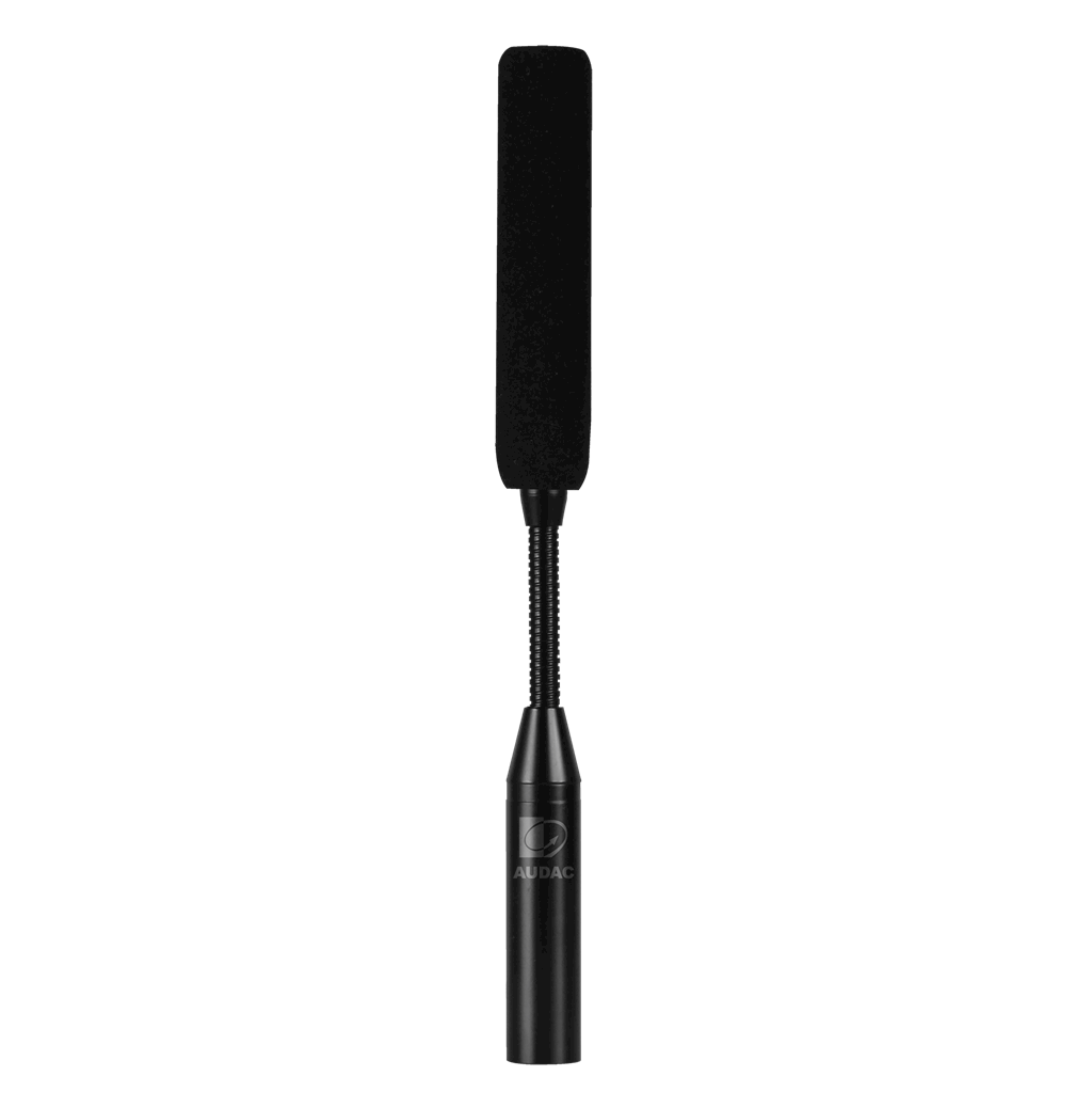 Audac CMX230 ( Kompakt Shotgun ) Mikrofon
