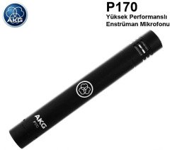 AKG P170 Profesyonel Enstrüman Mikrofonu