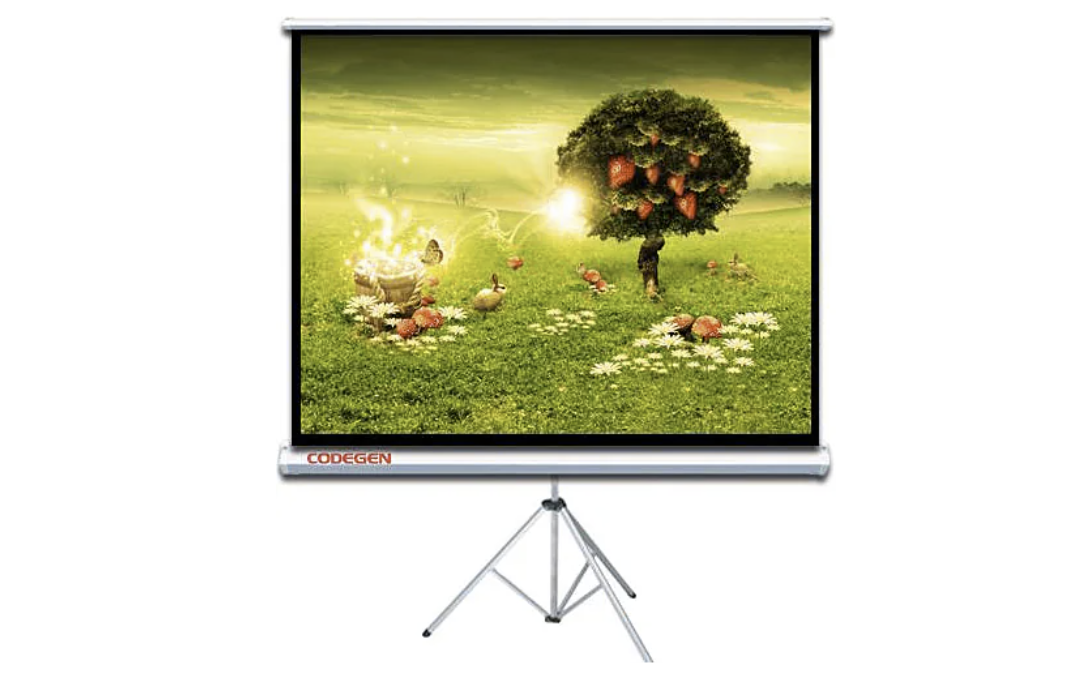 CODEGEN TX-20 Tripod Projeksiyon Perdesi (200x200cm)