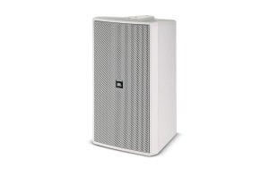 JBL C29AV-1 8 Ohm  300 Watt Kabin  Hoparlör