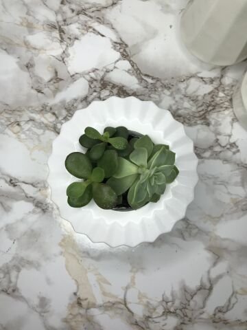 Geometrik Saksı Veya Mumluk Antrasit Hediyelik Saksılık Beyaz