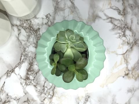 Geometrik Saksı Veya Mumluk Antrasit Hediyelik Saksılık Mint Yeşil