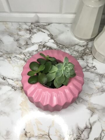 Geometrik Saksı Veya Mumluk Antrasit Hediyelik Saksılık Şeker Pembe