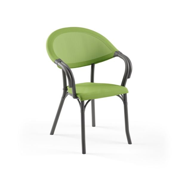 Antrasit Gövde Yeşil Fileli Bahçe Sandalyesi