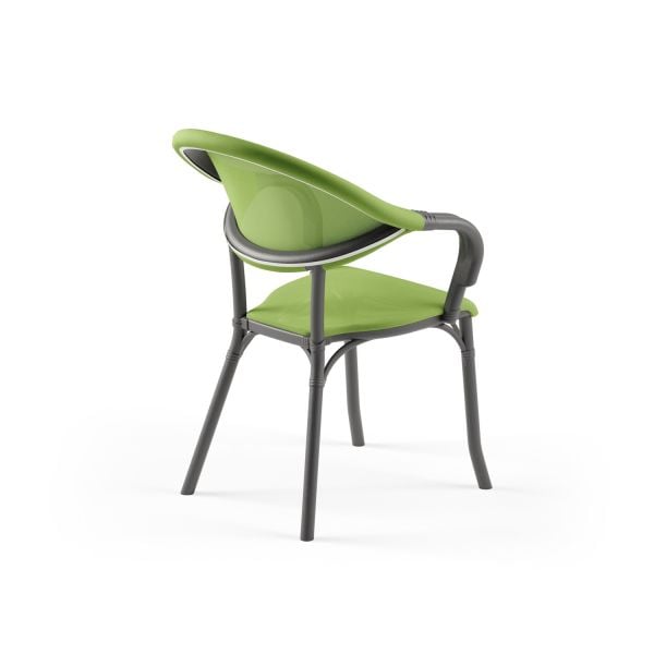 Antrasit Gövde Yeşil Fileli Bahçe Sandalyesi