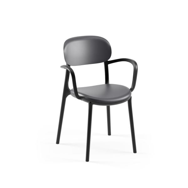 Siyah-Antrasit Kollu Plastik Outdoor Bahçe Sandalyesi