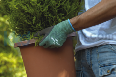 ﻿Towa WithGarden® Original 365 Her zaman yeşil İş Eldiveni