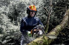 Uvex Pheos Forestry Koruyucu İş Bareti