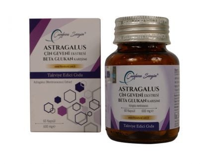 Astragalus