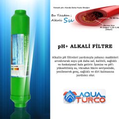 25 Adet pH+ Alkaline Filtre