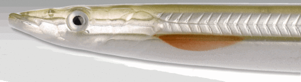 Savage gear B-SG Line Thru Sandeel 125mm 19g