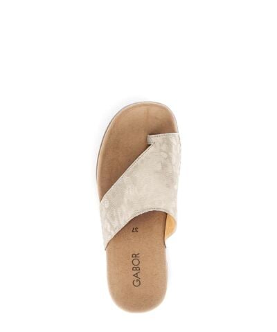 Invalid use of alt Image variable