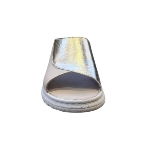 Invalid use of alt Image variable