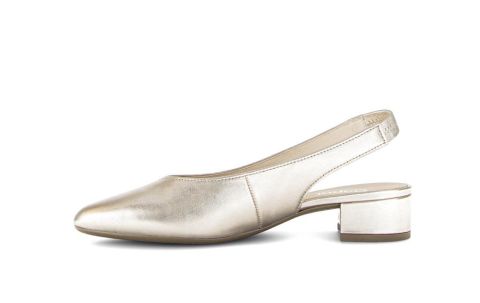 Invalid use of alt Image variable