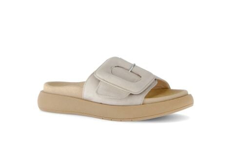 Invalid use of alt Image variable